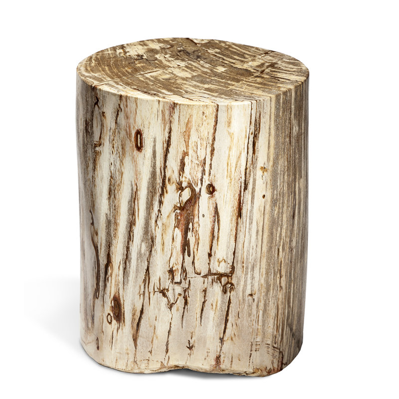 Interlude Myles Petrified Wood End Table Wayfair